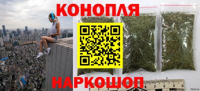 спиды Славгород