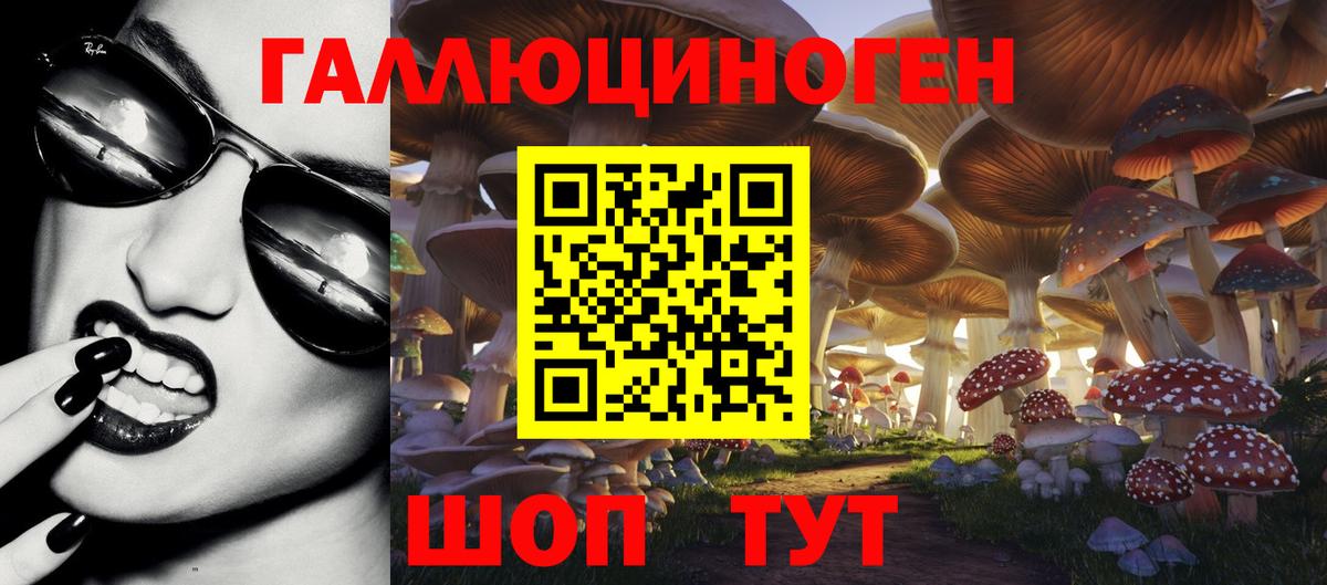 Большой Камень  Псилоцибиновые грибы ЛСД  Вход с VPN  Галлюциногенные грибы прущие грибы 