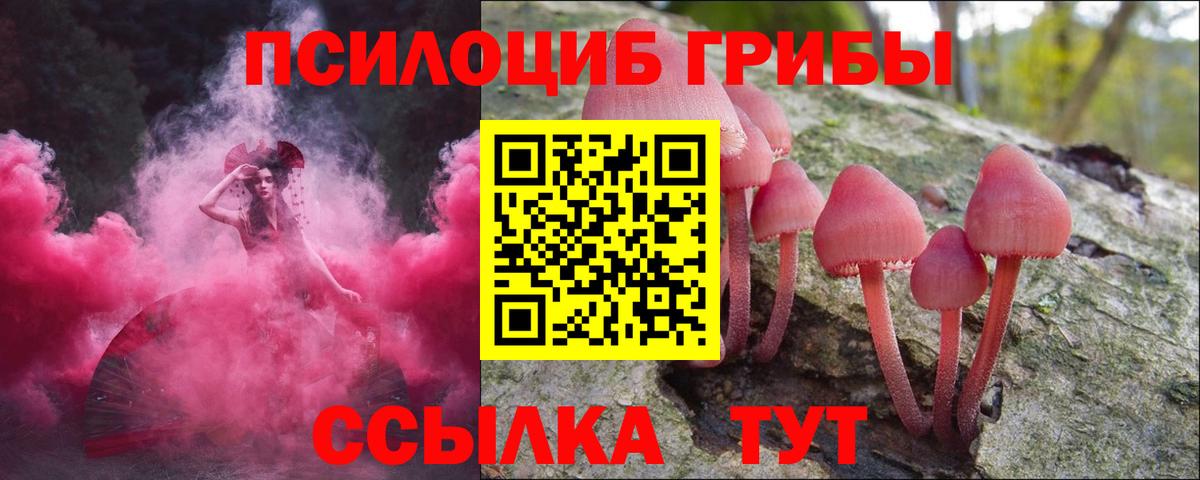 Галлюциногенные грибы ЛСД Большой Камень